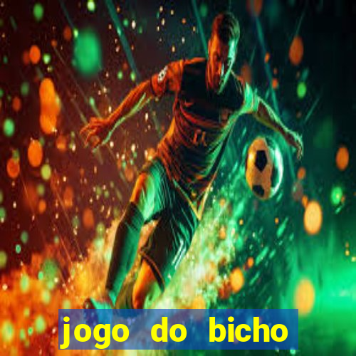 jogo do bicho tipos de apostas